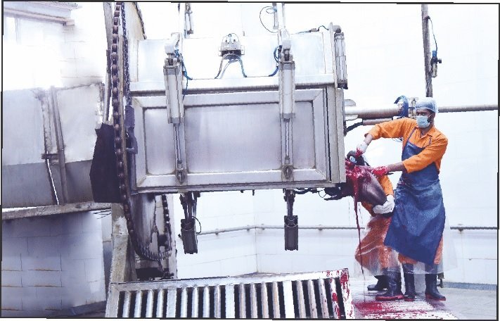 Start of the processing line