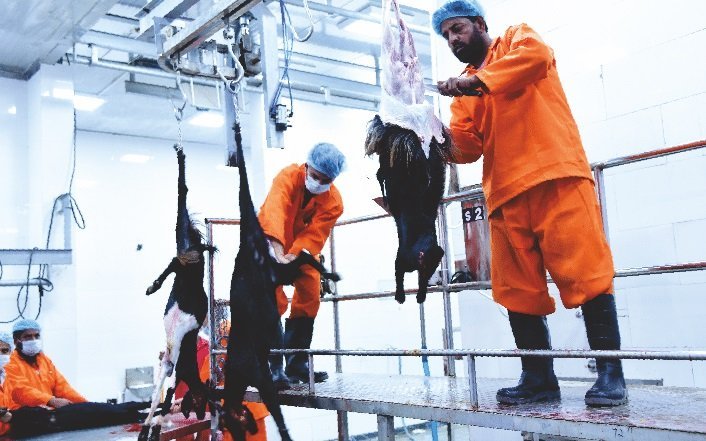 Skinning and dressing