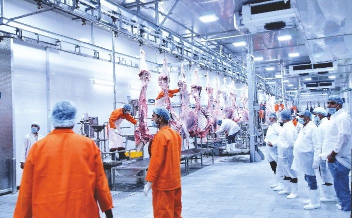 Inside the Marya Frozen processing hall