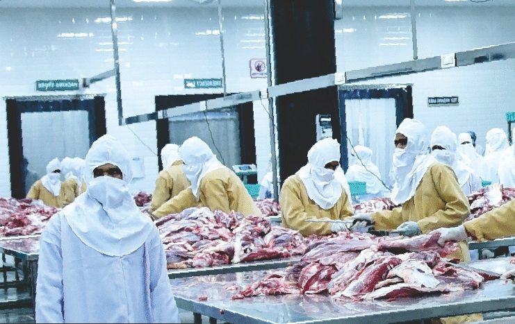 Trimming and packing preparation
