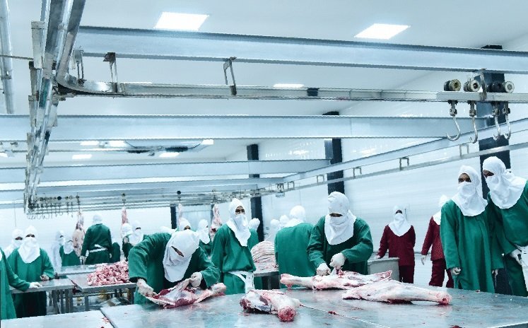 Deboning and trimming benches