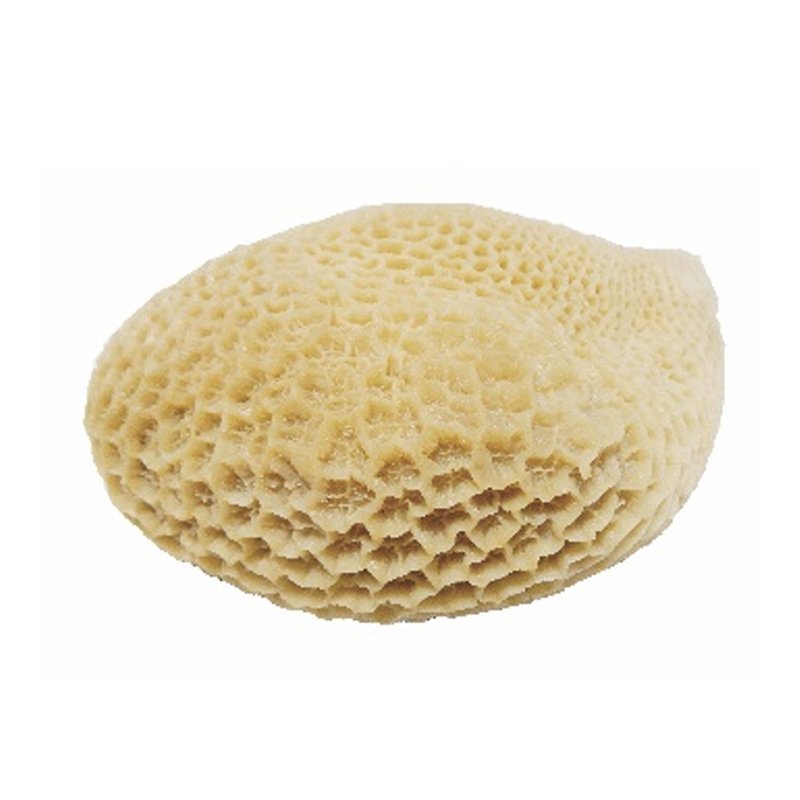 Honey Comb – frozen buffalo offal