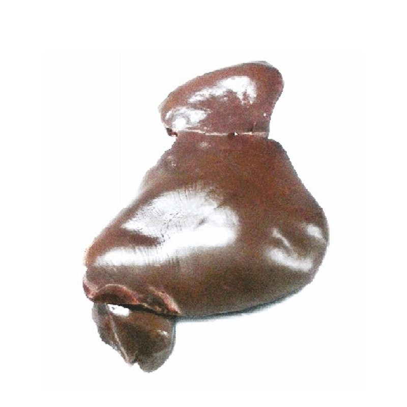 Liver – frozen buffalo offal